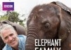 Elephant Family & Me